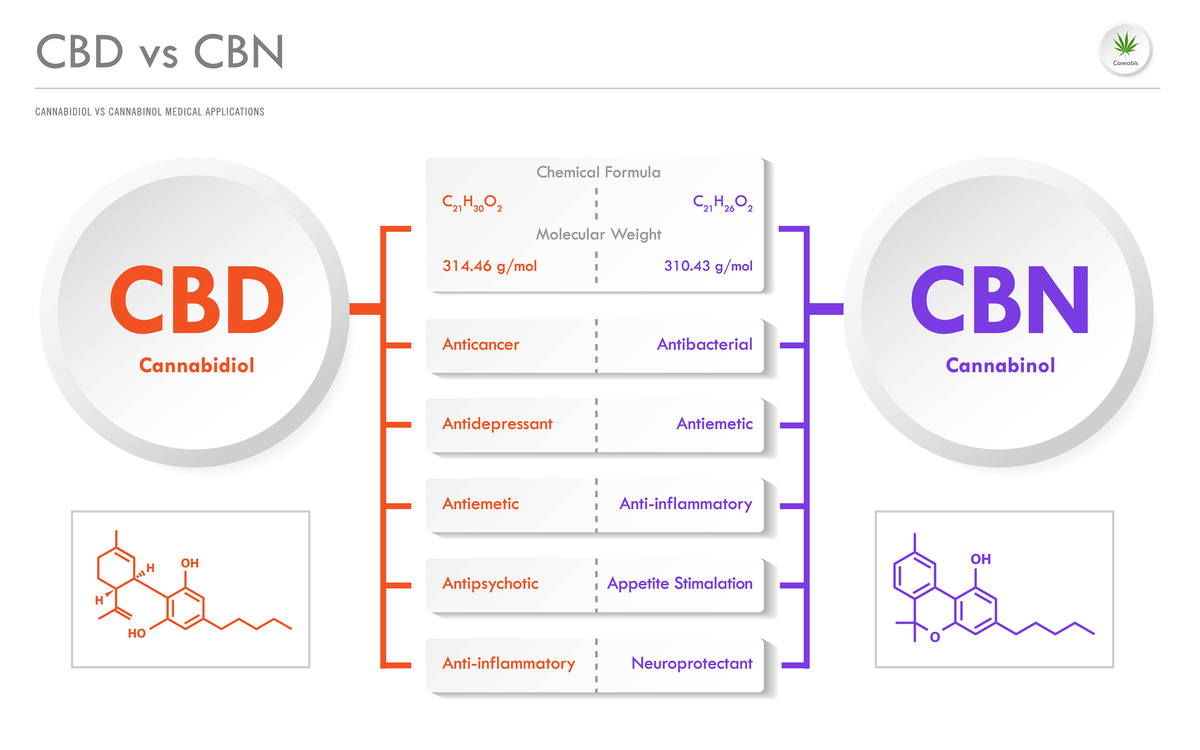 tout savoir sur le cbn